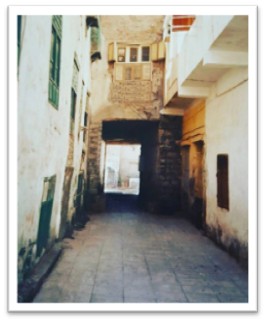 صورة2